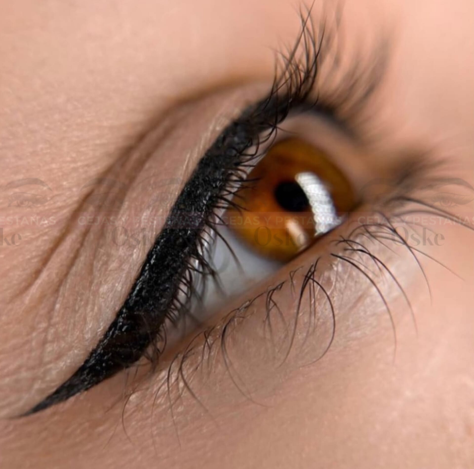 WhatsApp Image 2025-02-17 at 11.15.16 PM (1)