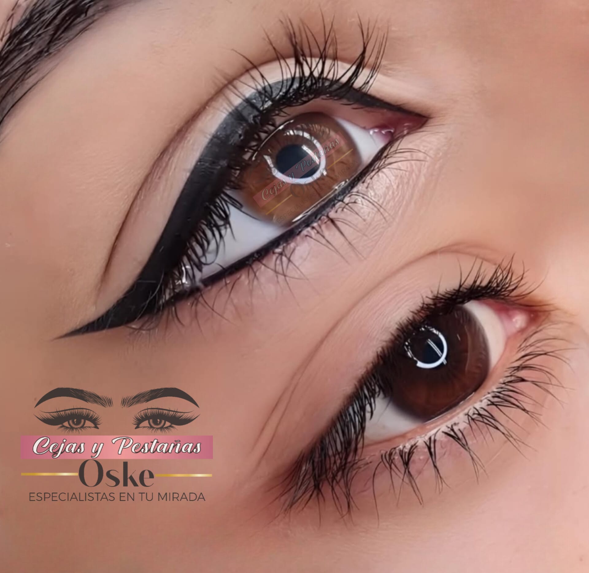 WhatsApp Image 2025-02-17 at 11.15.16 PM (2)