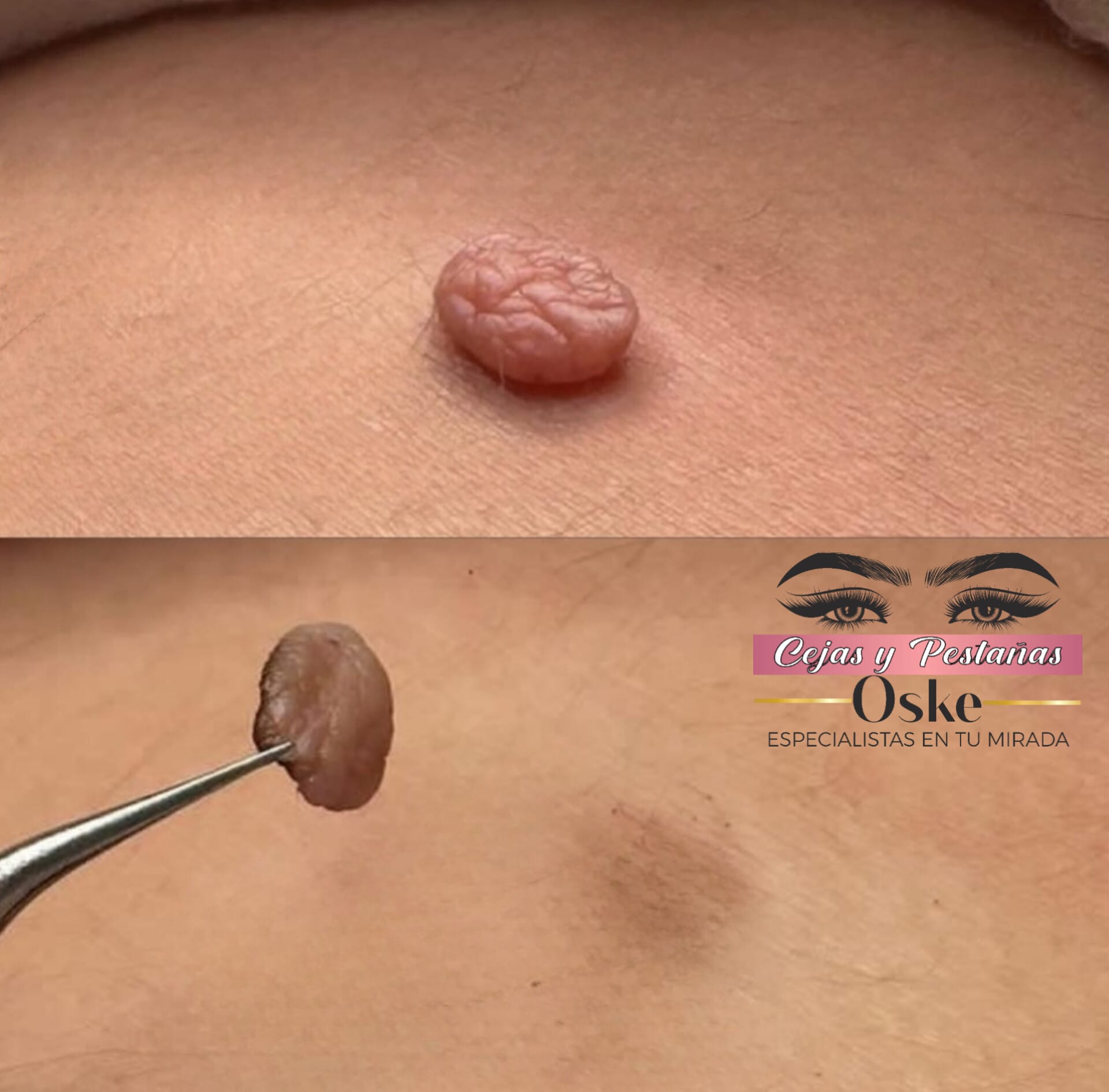 WhatsApp Image 2025-02-18 at 2.03.27 PM (1)