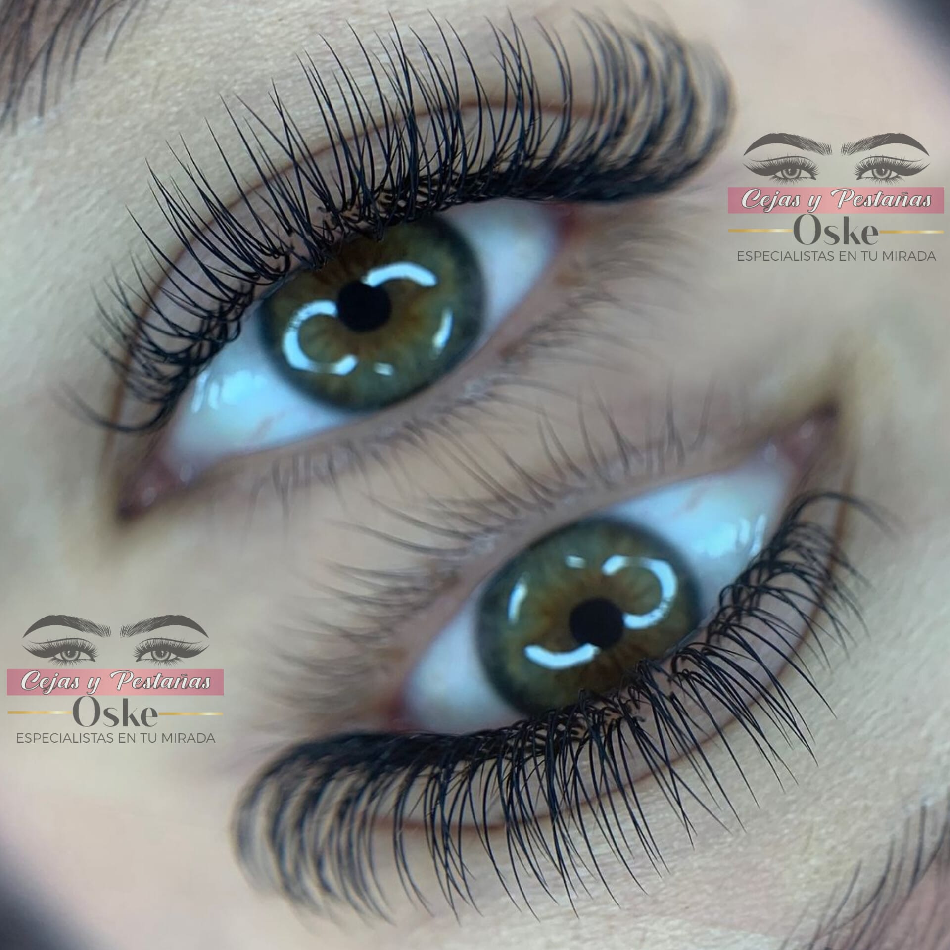 WhatsApp Image 2025-02-18 at 2.09.43 PM